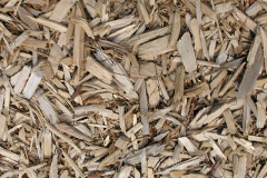 biomass boilers Cople